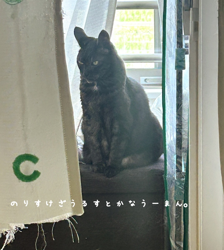 かなう 写メ日記 5/20(火) 15:38