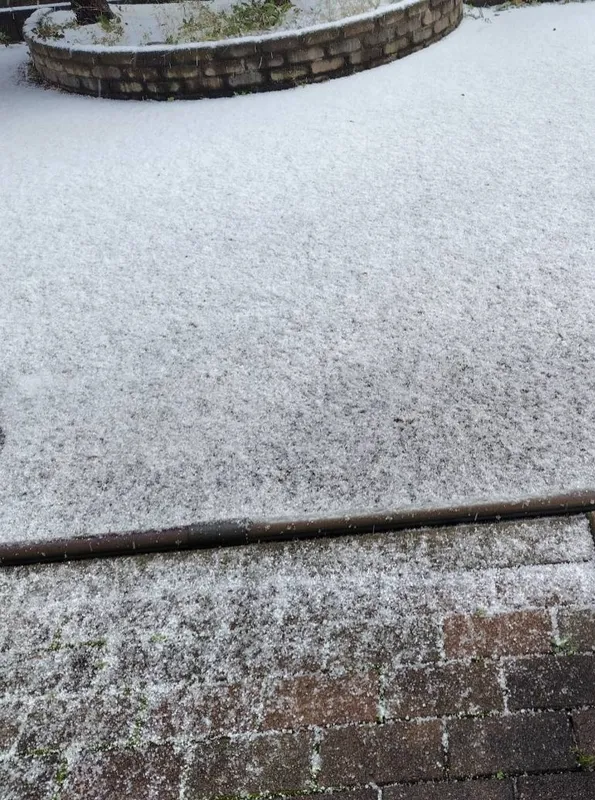 写メ日記 まひろ 12/4(木) 20:16