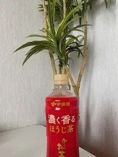 写メ日記 加納 しほ 5/22(金) 12:23