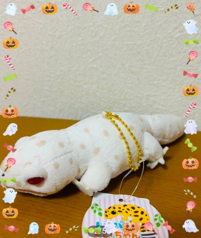 多田朱美 写メ日記 10/7(火) 07:40