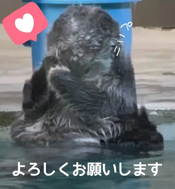 写メ日記 多田朱美 12/13(土) 10:59