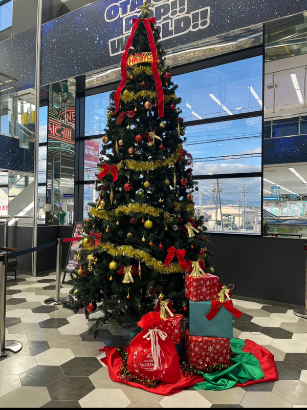 写メ日記 多田朱美 12/23(火) 13:17