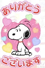 写メ日記 坂本えりな 1/25(日) 08:22