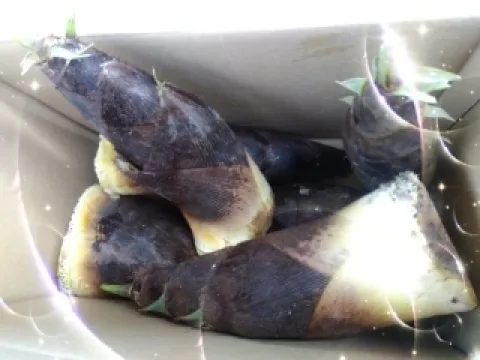 写メ日記 木佐貫あかね 4/19(日) 09:30