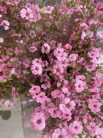 写メ日記 雨宮優子 5/31(日) 20:54