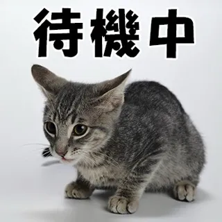 写メ日記 三上りこ 5/6(水) 12:00