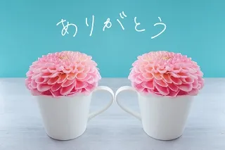 写メ日記 藤田ゆうか 10/29(木) 17:32