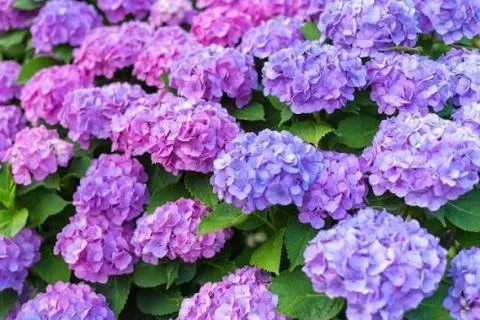 写メ日記 黒木さゆり 6/20(土) 11:40