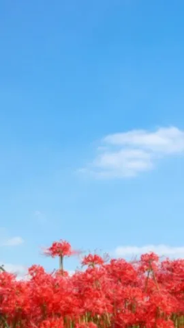 写メ日記 黒木さゆり 10/3(土) 18:00