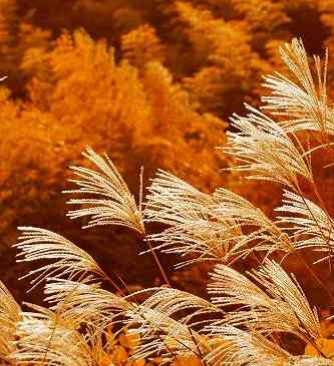 まなみ 写メ日記 11/1(土) 18:42