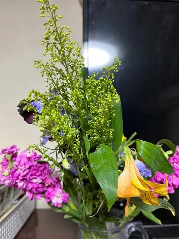 写メ日記 ようこ 3/2(月) 07:44