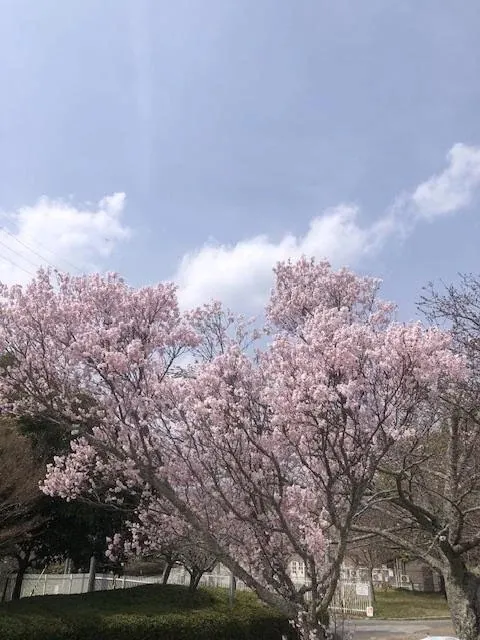 写メ日記 ふみ 3/31(火) 10:54