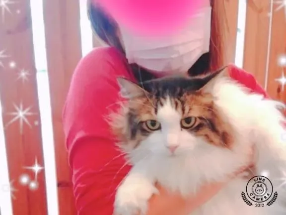 写メ日記 さら 2/26(木) 08:24