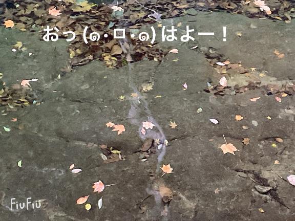 すみ 写メ日記 5/21(水) 06:24