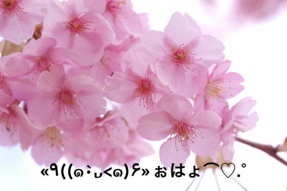 すみ 写メ日記 7/20(日) 07:00