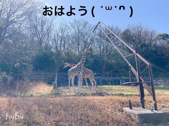 すみ 写メ日記 8/11(月) 07:14