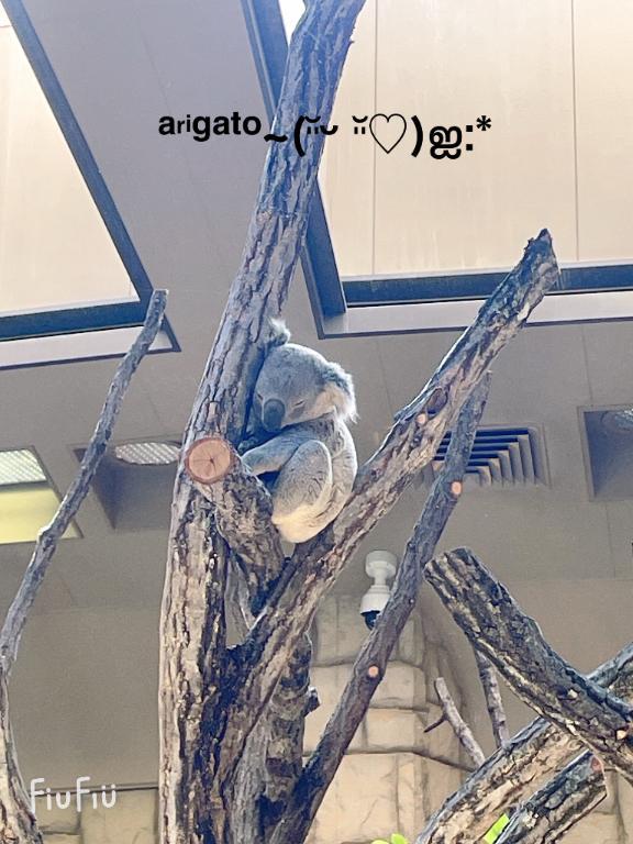 すみ 写メ日記 8/11(月) 15:54