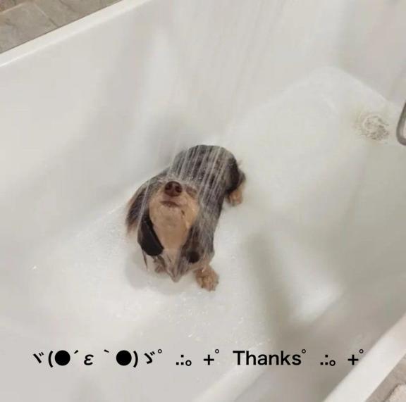 すみ 写メ日記 8/23(土) 23:34