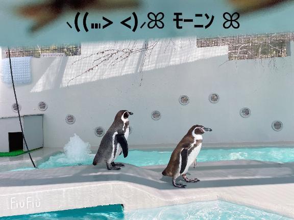 すみ 写メ日記 8/24(日) 07:44