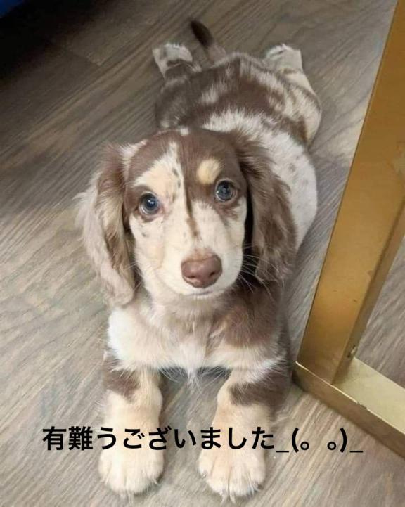すみ 写メ日記 8/25(月) 21:44