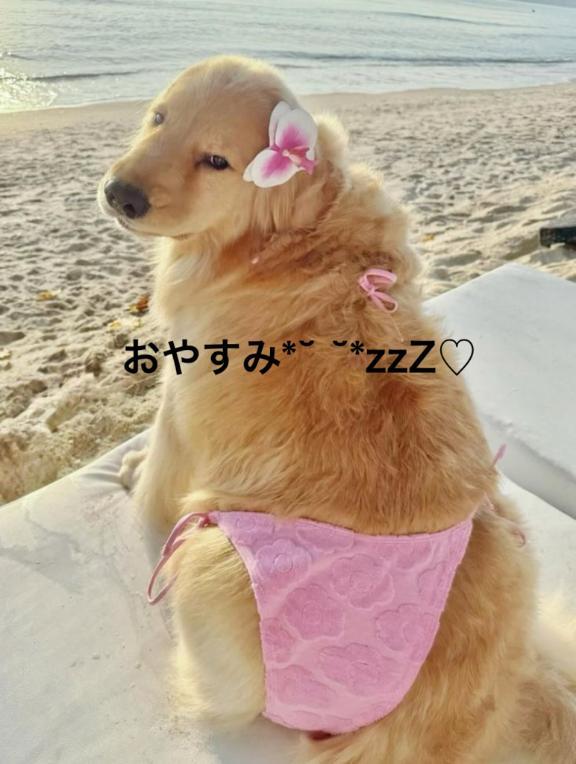 すみ 写メ日記 8/25(月) 23:34
