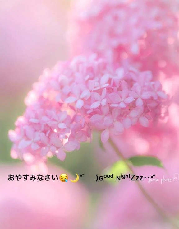 すみ 写メ日記 9/11(木) 20:14