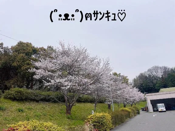 すみ 写メ日記 10/4(土) 22:14