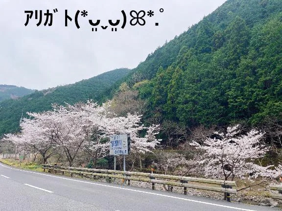 すみ 写メ日記 10/11(土) 17:24