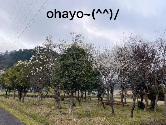 すみ 写メ日記 10/15(水) 06:29