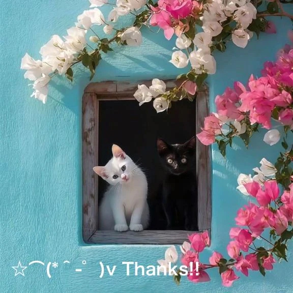 すみ 写メ日記 10/19(日) 16:34