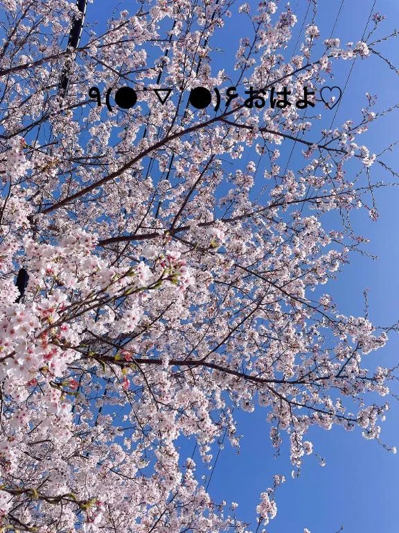 すみ 写メ日記 10/20(月) 06:34