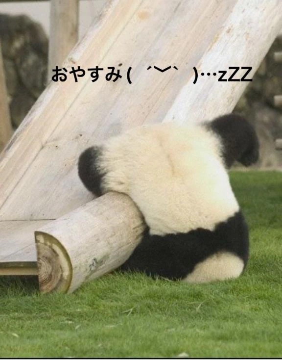 すみ 写メ日記 10/22(水) 20:24