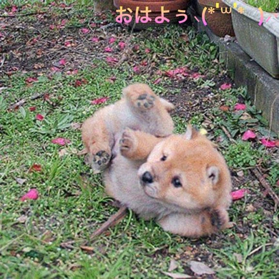 すみ 写メ日記 11/2(日) 07:24