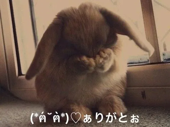 写メ日記 すみ 1/12(月) 21:34