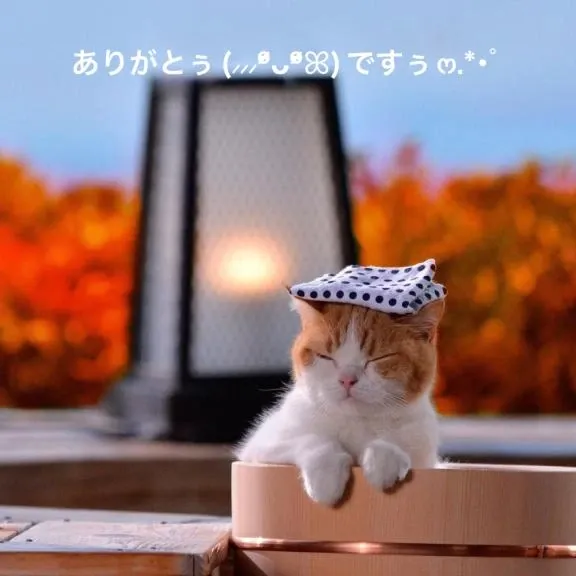 写メ日記 すみ 2/27(金) 22:14