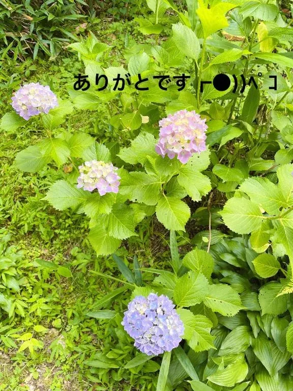 写メ日記 すみ 7/29(水) 19:12