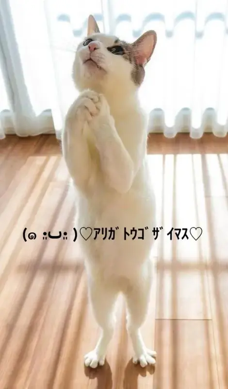 写メ日記 すみ 8/21(金) 22:14