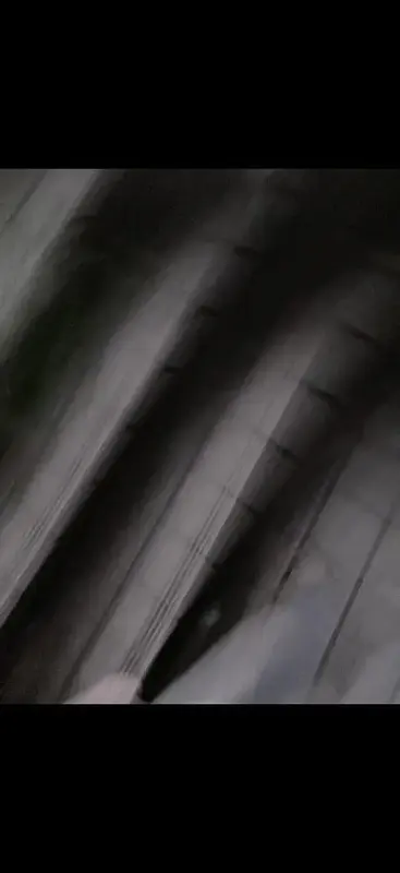 写メ日記 みかん 12/14(日) 12:14