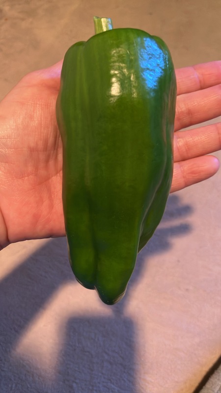 いまり 写メ日記 11/26(水) 11:18