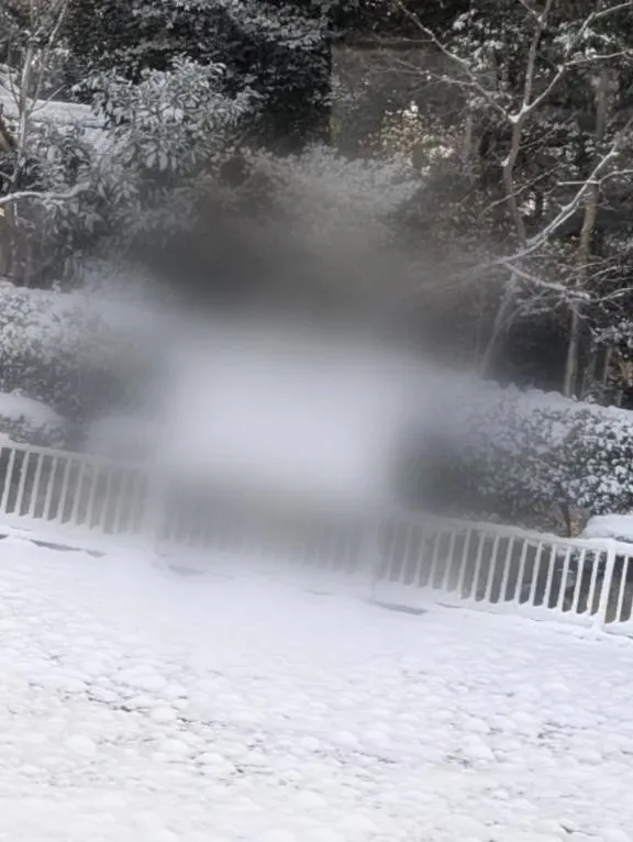 写メ日記 まいな 1/22(木) 08:44