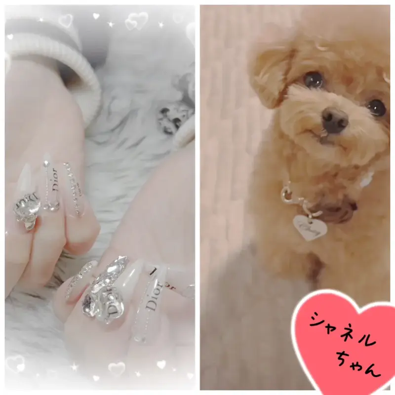 写メ日記 つばき 2/23(月) 07:50