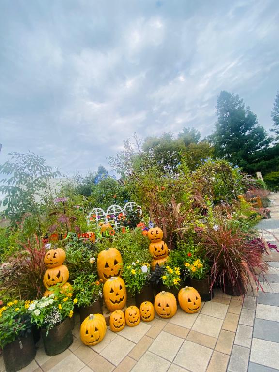 水原にこ 写メ日記 10/27(月) 09:01