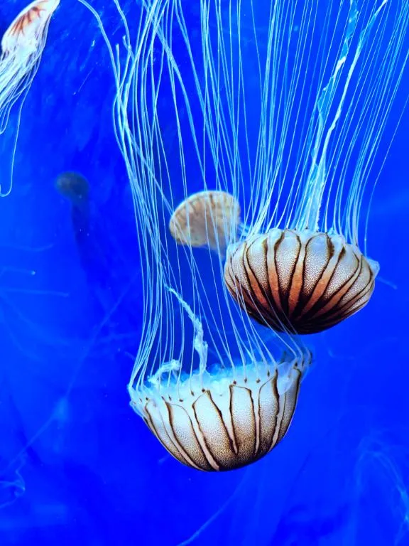 写メ日記 織田真里子 12/10(水) 18:32