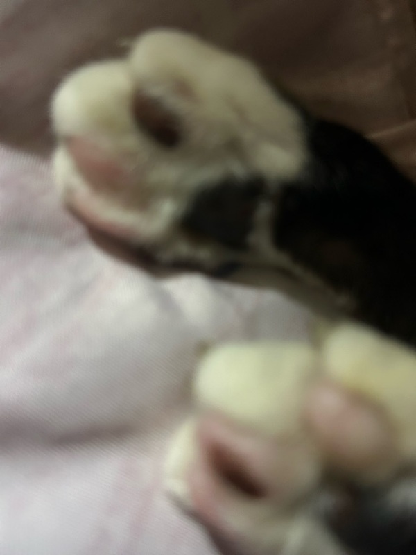 菊池ゆり 写メ日記 8/11(月) 14:12