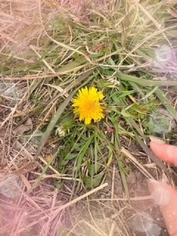 写メ日記 川嶋れい 3/22(日) 22:28