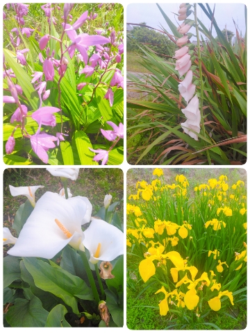上杉あずさ 写メ日記 5/20(火) 13:12