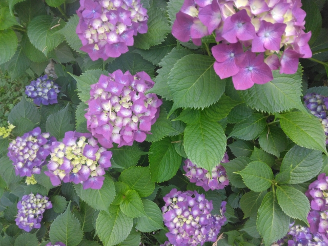 上杉あずさ 写メ日記 6/22(日) 10:52