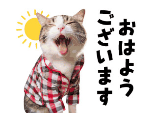 上杉あずさ 写メ日記 7/5(土) 07:42