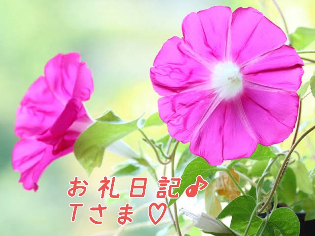 一色まゆみ 写メ日記 8/11(月) 19:08