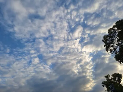 写メ日記 宮本恵美子 11/30(日) 17:22